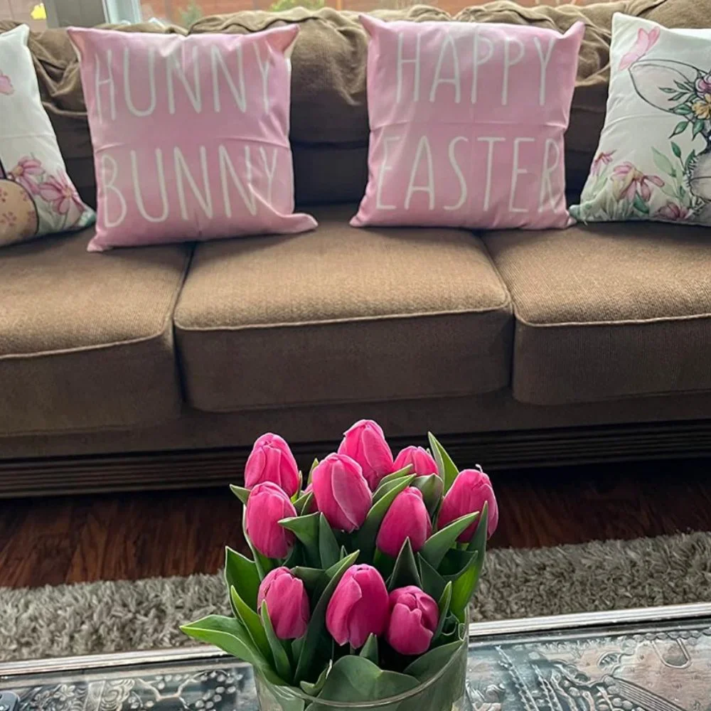 Easter Decorative Throw Pillow Covers Bunny Accent Cases Cottage Spring Decor - Picture 6 of 9